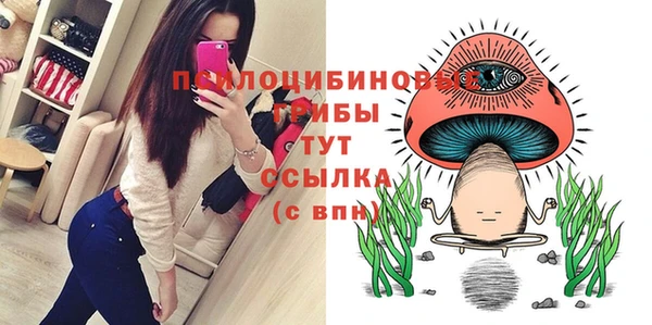 твердый Алзамай
