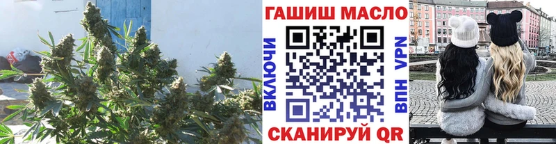 закладки  Куртамыш  ТГК вейп 